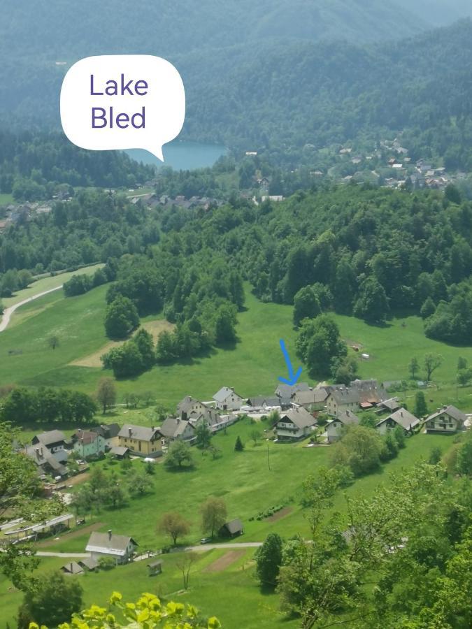 Apple Tree Apartment Bled Luaran gambar
